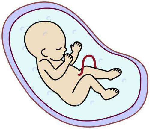 重庆代孕过程全方位保密-供卵试管三次移植失败_多囊卵巢导致的不孕可做试管